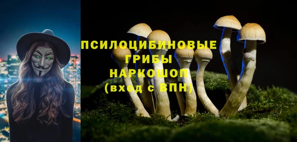 амфетамин Богородицк