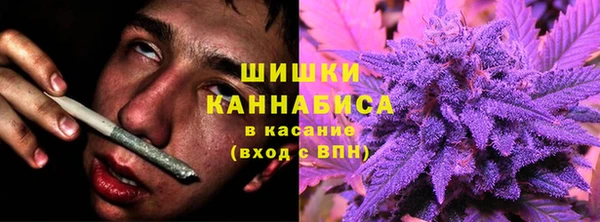 прущая мука Богородск