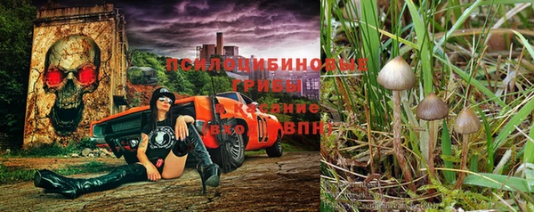 мескалин Белокуриха