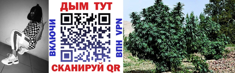 купить наркотик  Бронницы  Марихуана SATIVA & INDICA 